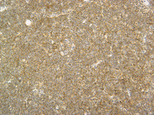 Load image into Gallery viewer, Feline lymph node stained with CD3 with Yellow HRP.