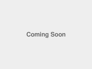 InfectISH™ H2O2 & Protease Pretreatment Kit - Fungal